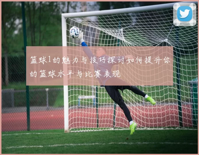 篮球1的魅力与技巧探讨如何提升你的篮球水平与比赛表现