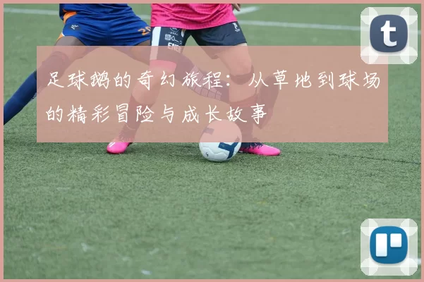 足球鹅的奇幻旅程：从草地到球场的精彩冒险与成长故事
