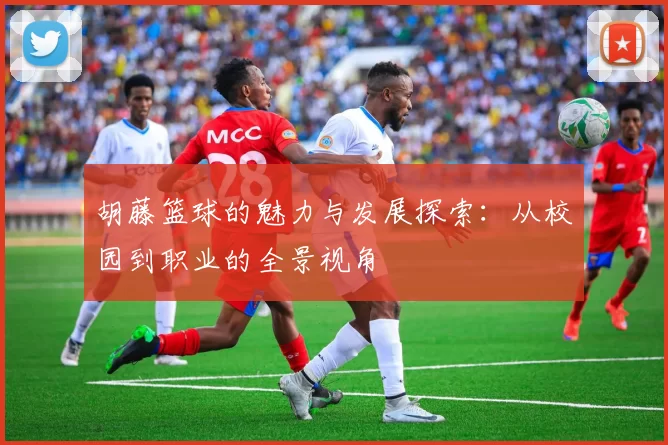 胡藤篮球的魅力与发展探索：从校园到职业的全景视角