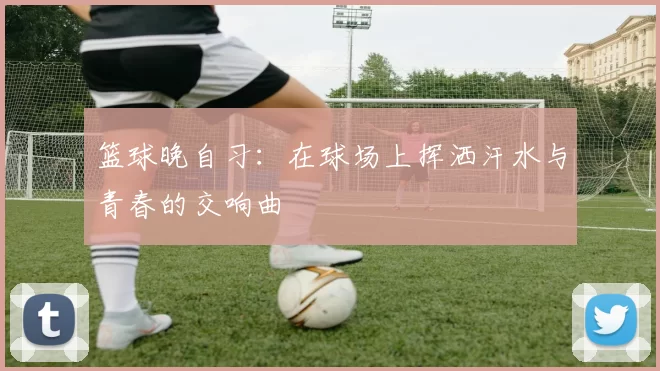 篮球晚自习：在球场上挥洒汗水与青春的交响曲