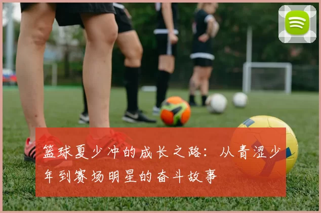 篮球夏少冲的成长之路：从青涩少年到赛场明星的奋斗故事