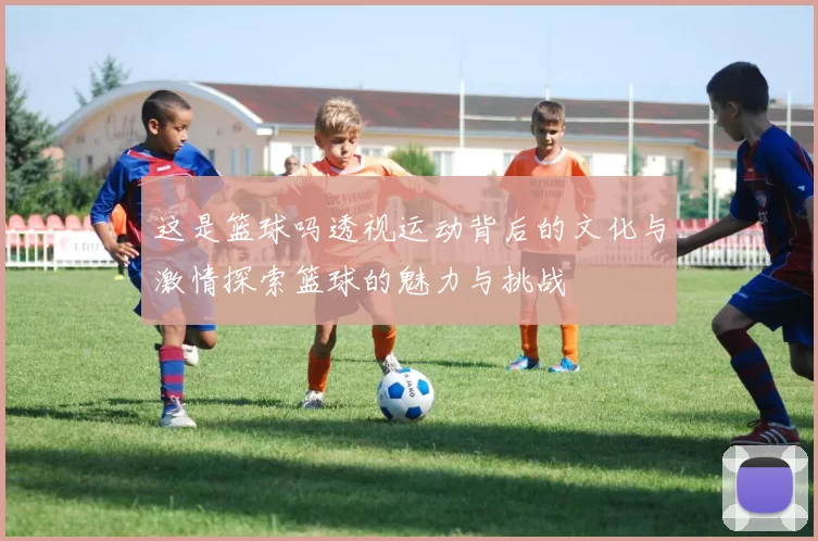 这是篮球吗透视运动背后的文化与激情探索篮球的魅力与挑战