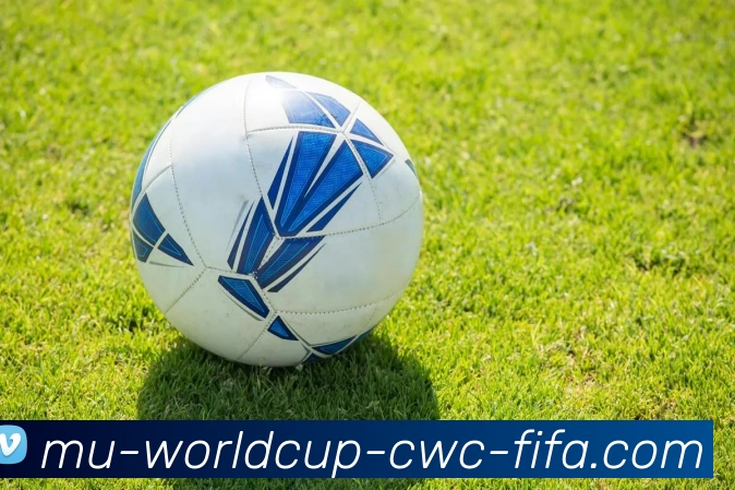 世界杯服务体系